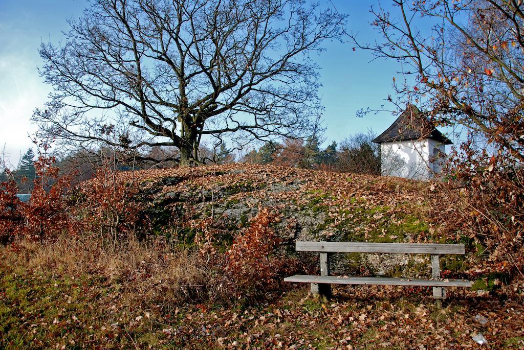 Gasthof Und Pension Haunschmid Rechberg 외부 사진